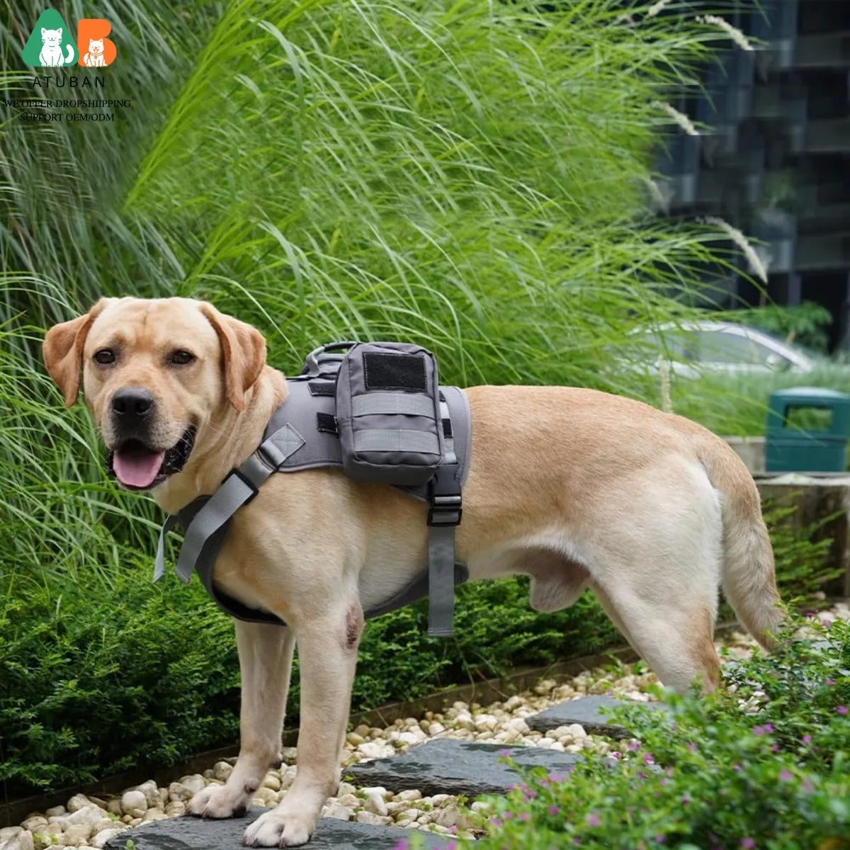 Harnais pour chien robuste avec sac à dos à poches latérales sécurisées