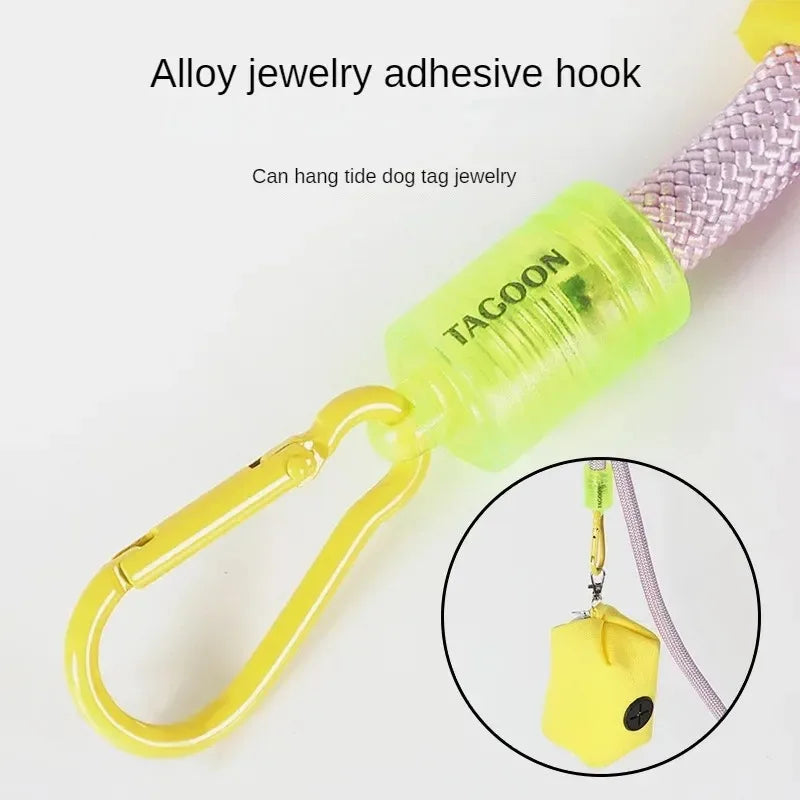 Ensemble laisse et collier premium pour chiens - Chiens de petite à moyenne taille