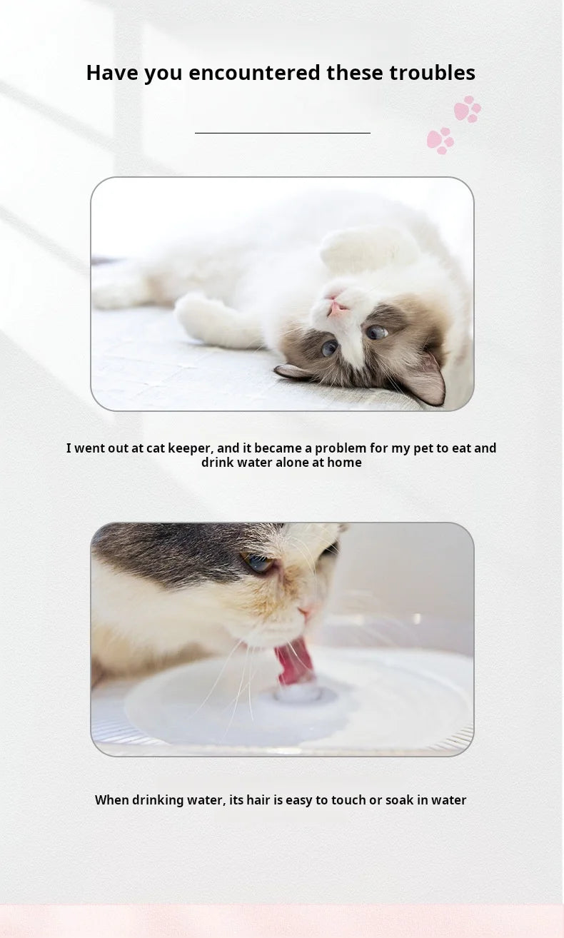 Set de gamelles doubles pour chat, distributeur d'eau automatique pour animaux de compagnie pour les garder hydratés et nourris
