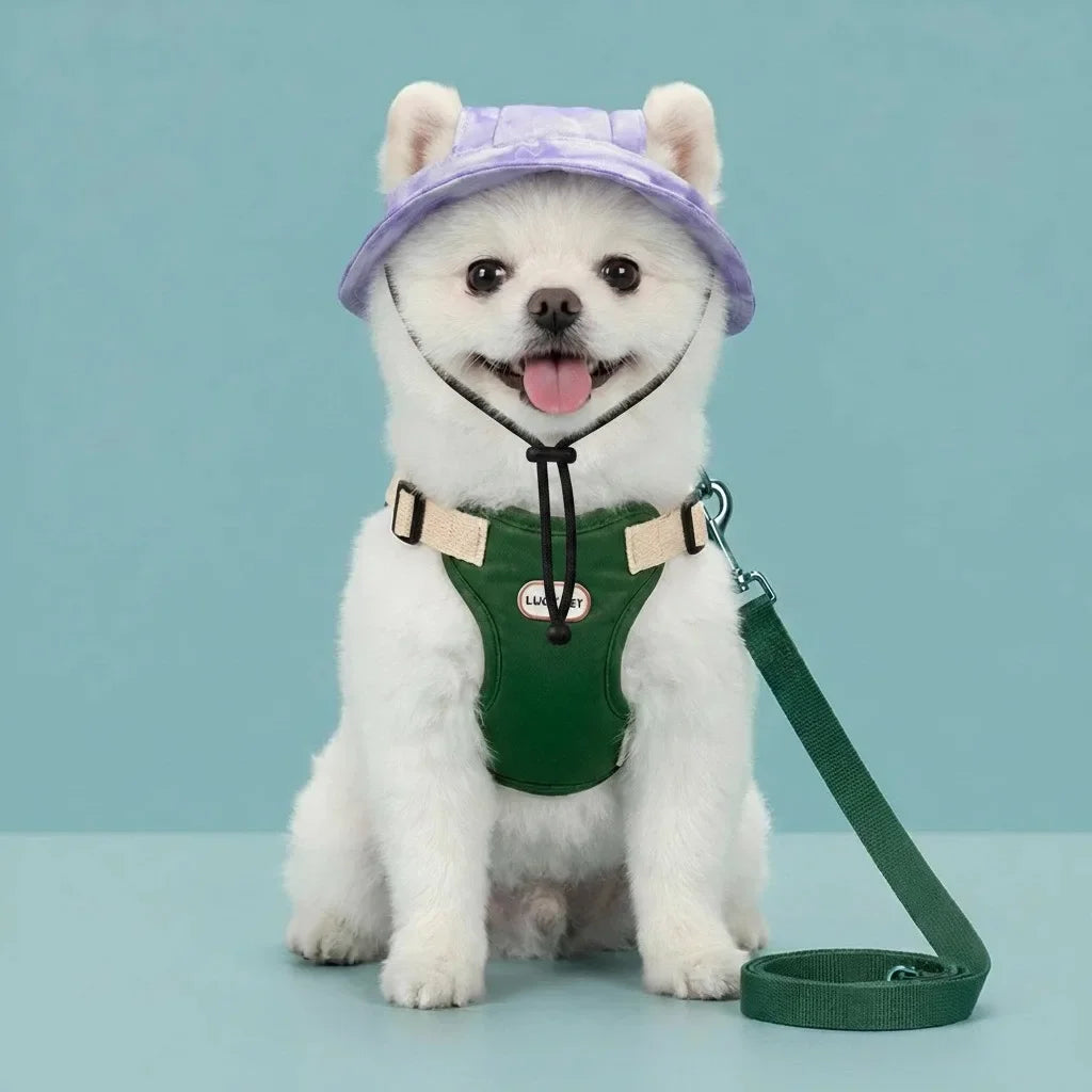 Anti-Escape Harness, Leash & Sun Hat Set for Small Dogs & Cats