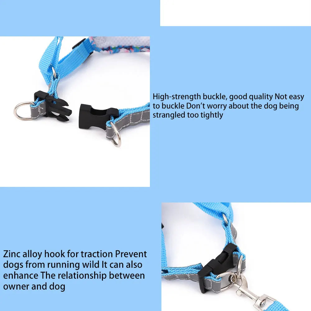 Adjustable Dog Harness & Leash Set with Reflective Strips