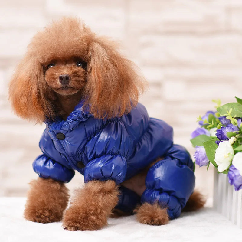 Winter Down Jumpsuit for Small Dogs | Padded All-in-One Dog Coat
