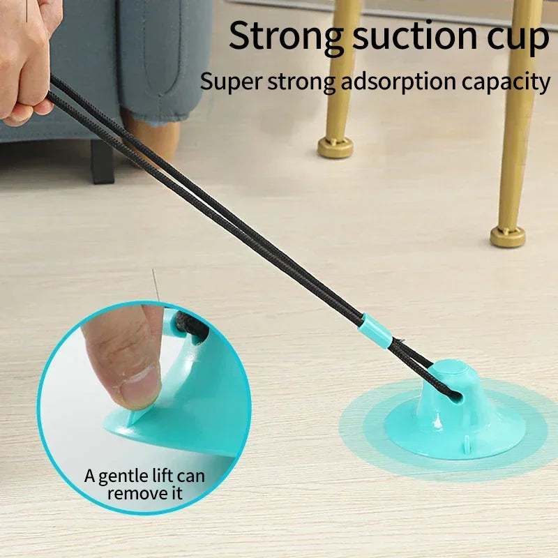 Suction Cup Tug Toy with Ball