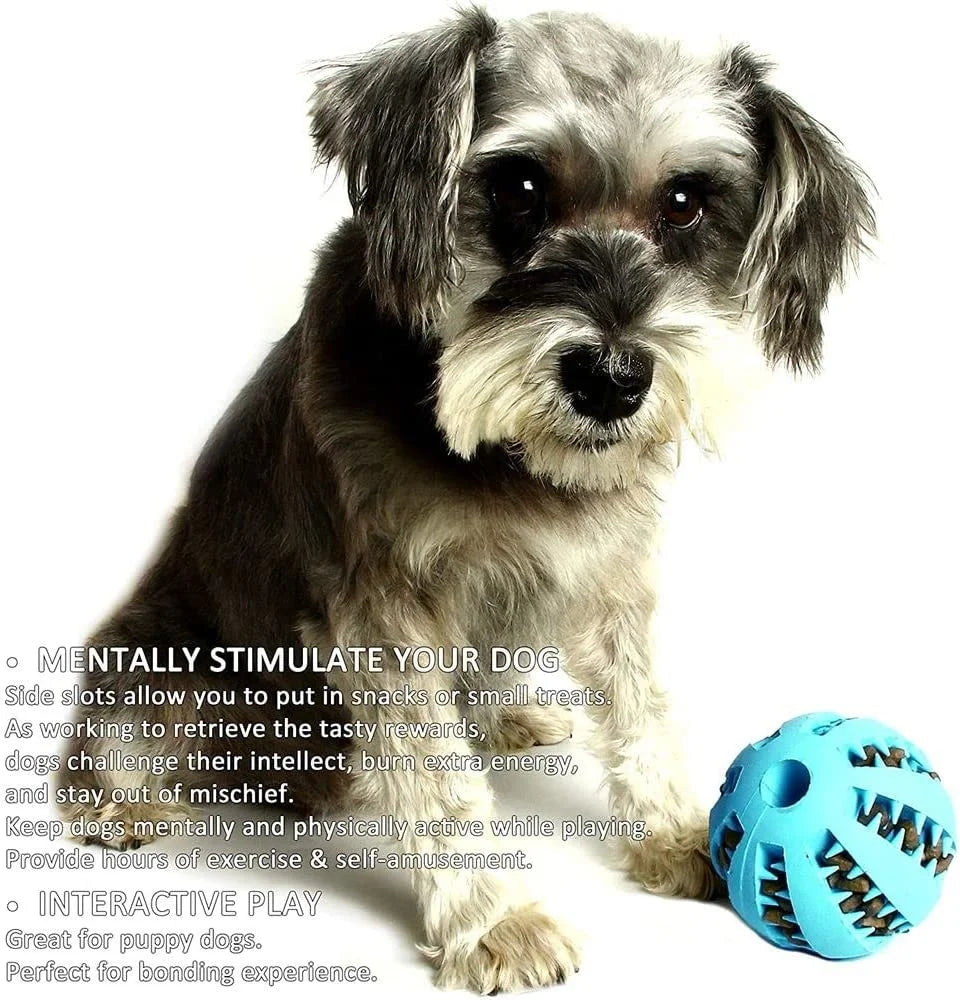 Interactive Rubber Chew Ball