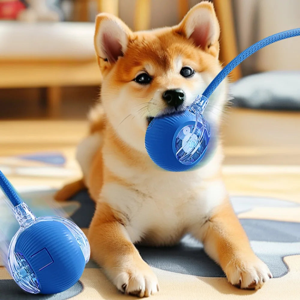 Automatic Rolling Ball Cat Toy - Rechargeable