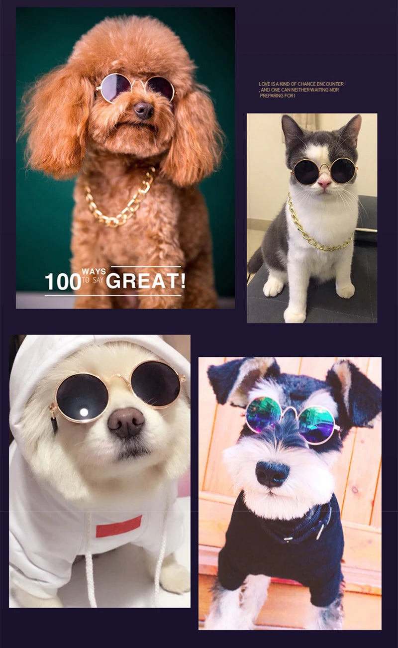 Mini Sunglasses for Cats & Small Dogs
