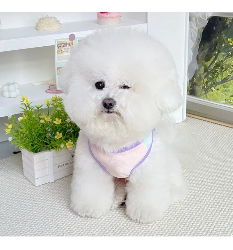 Gilet rafraîchissant réfléchissant et t-shirt d'été pour chiens et chats de petite, moyenne et grande taille