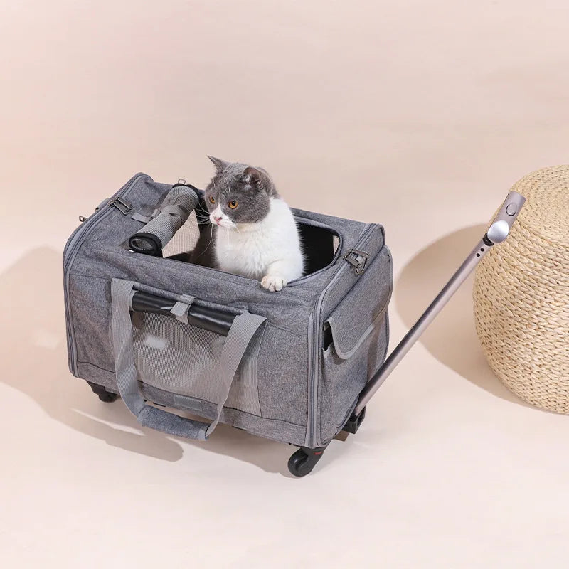 Sac de transport roulant pour animaux de compagnie avec roues — Approuvé par les compagnies aériennes et poussette pliable
