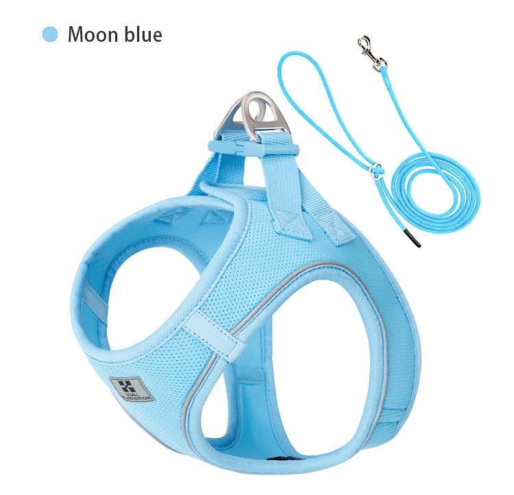 Reflective Dog & Cat Harness with Leash Set