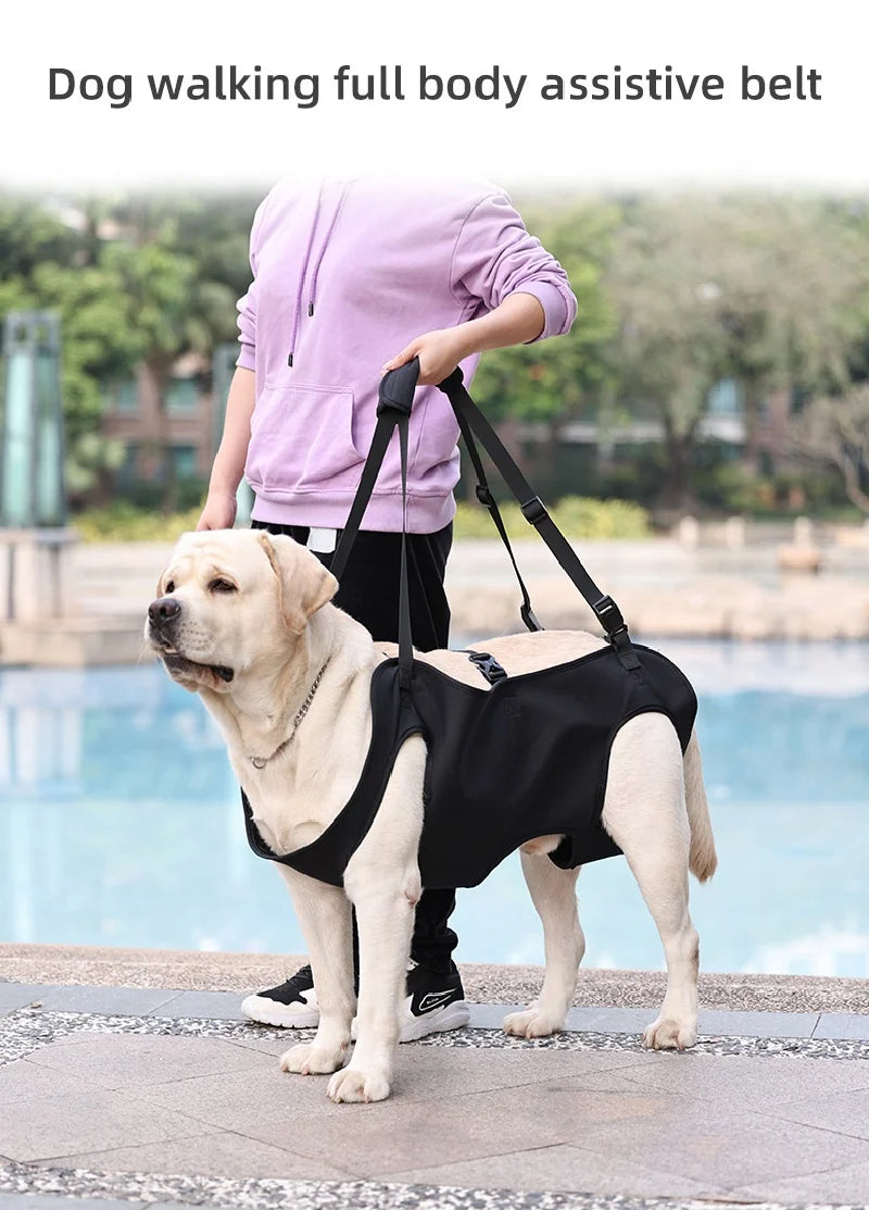 Dog Body Support Lift Harness for Injured, Disabled & Elderly Dogs – Soft Oxford Carry Sling