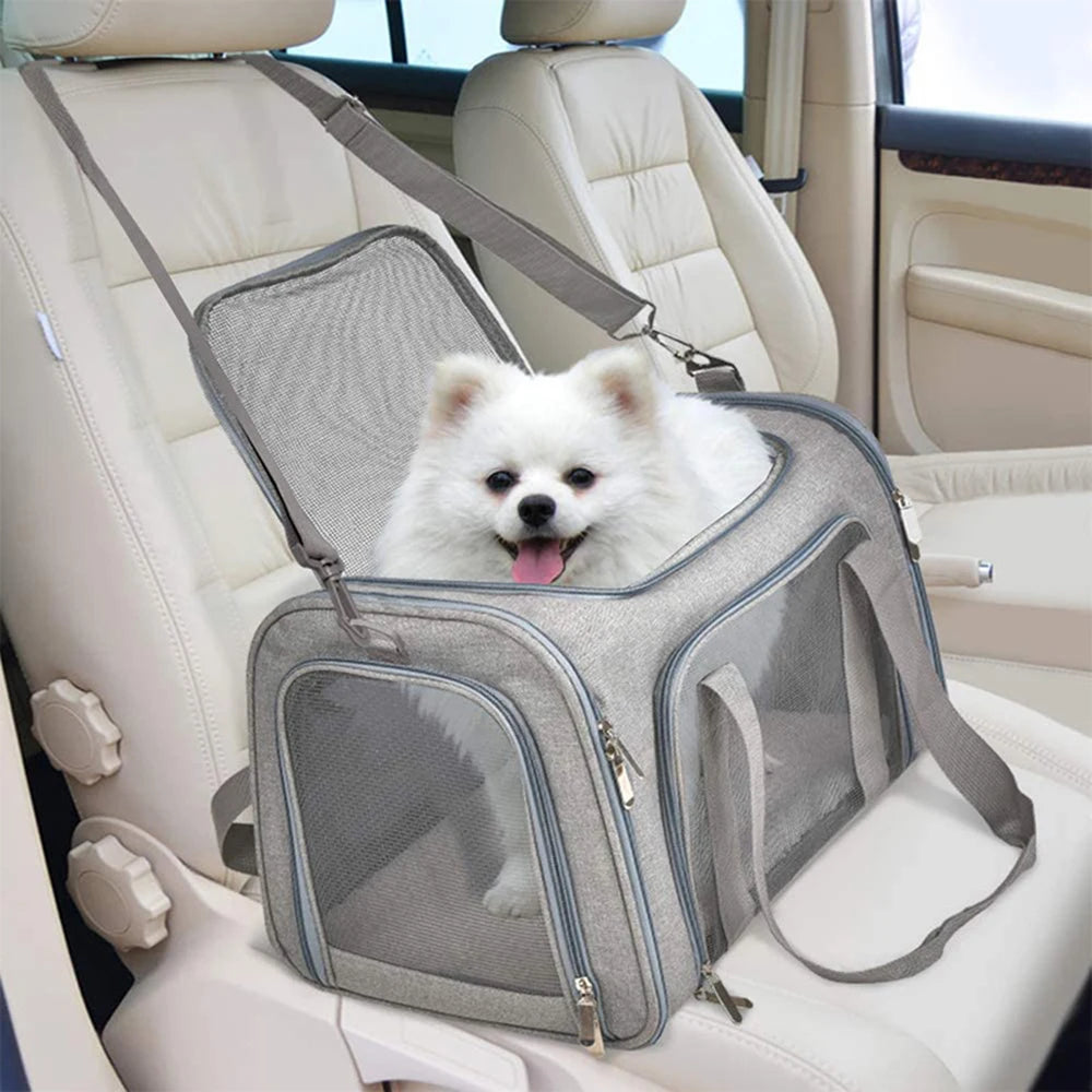 Collapsible Mesh Pet Carrier with Padded Shoulder Strap