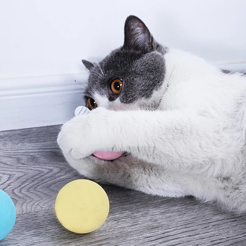 Sound Ball Cat Toy — Animal Noise Squeaky Ball for Cats & Kittens