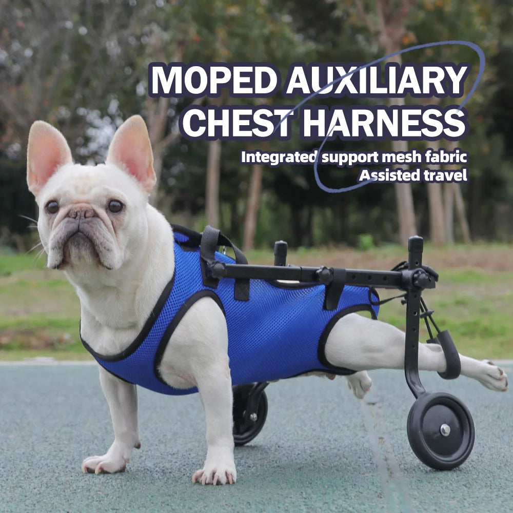 Dog Rehabilitation & Mobility Support Harness – Chest & Back Lifting Aid for Disabled & Recovering Dogs