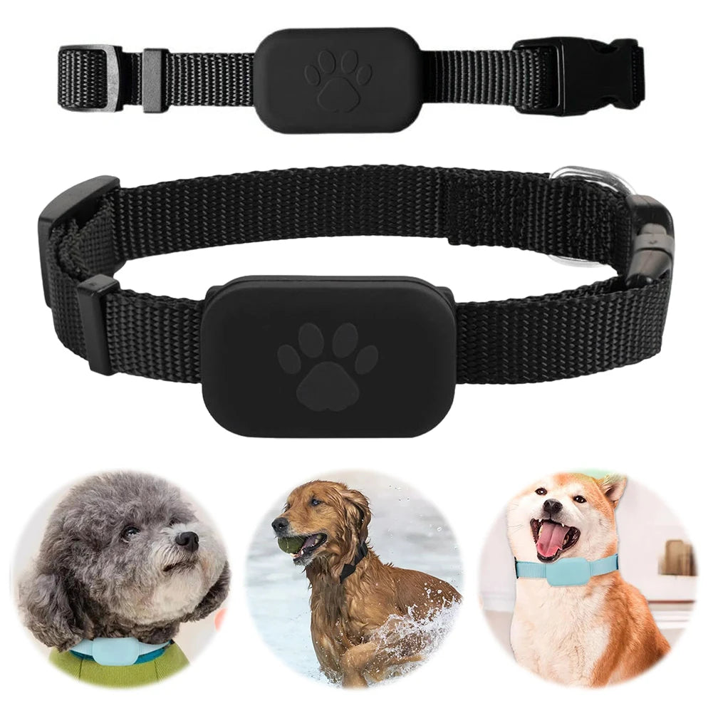 Smart Pet Locator with Silicone Collar for Dogs & Cats — 6-12 Month Battery