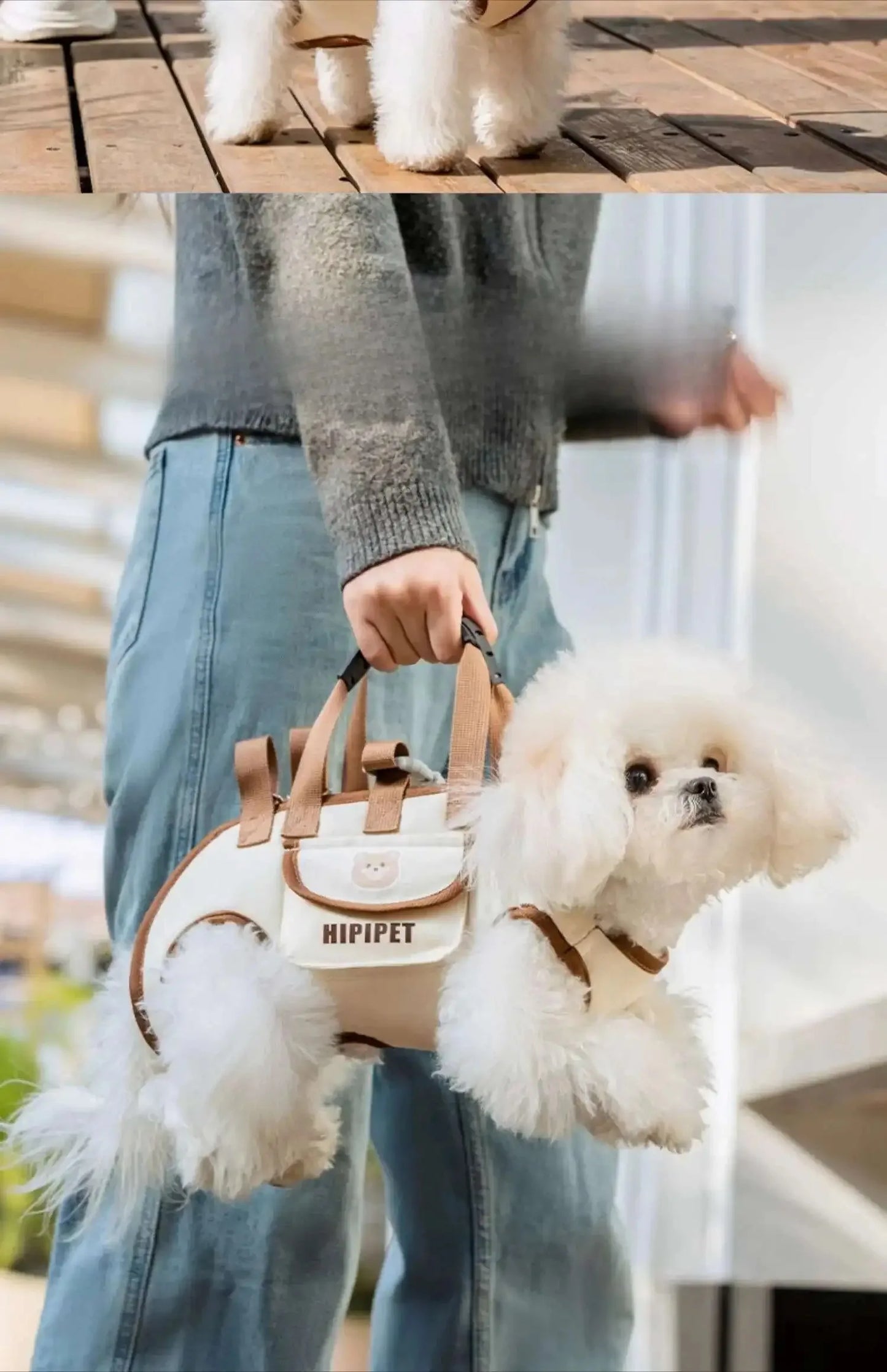 Sac de transport pour animaux de compagnie avec design de sac à dos