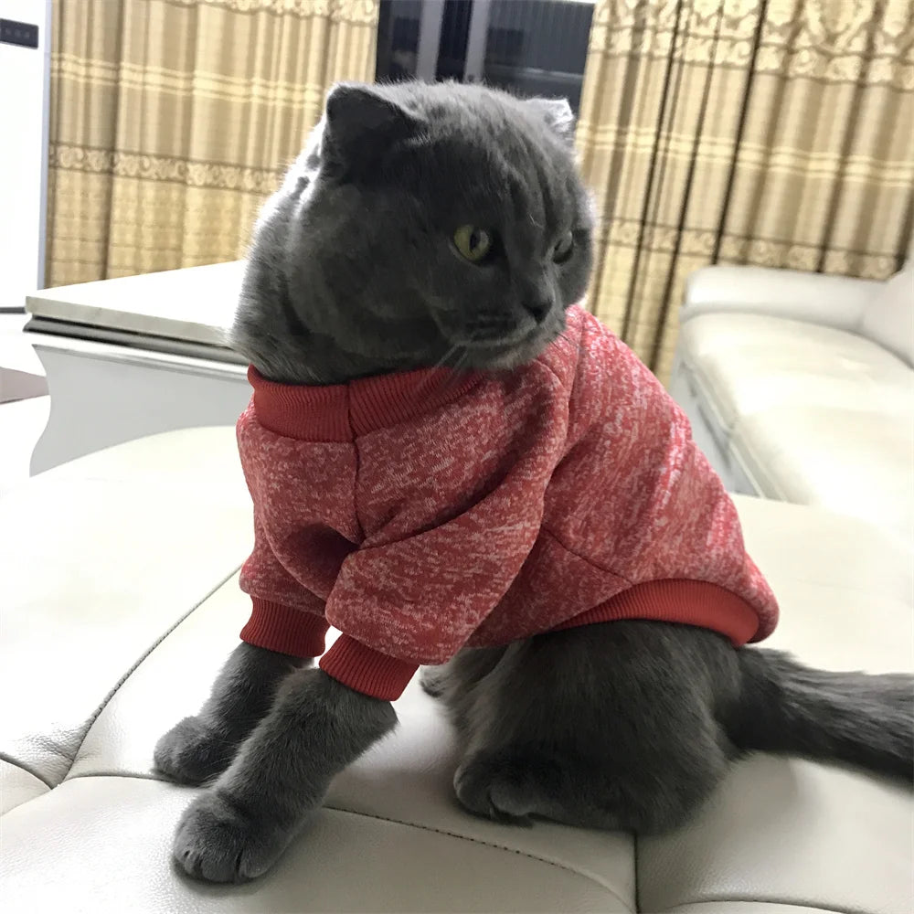 Non-Hair-Sticking Pet Hoodie for Cats & Small Dogs