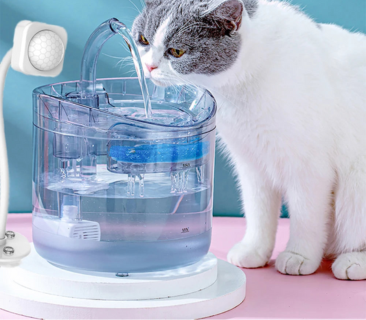 Distributeur d'eau pour chat et chien de 2L avec filtre à charbon actif, alimenté par USB, gamelle automatique pour animaux de compagnie avec capteur de mouvement, gamelle silencieuse pour animaux de compagnie.