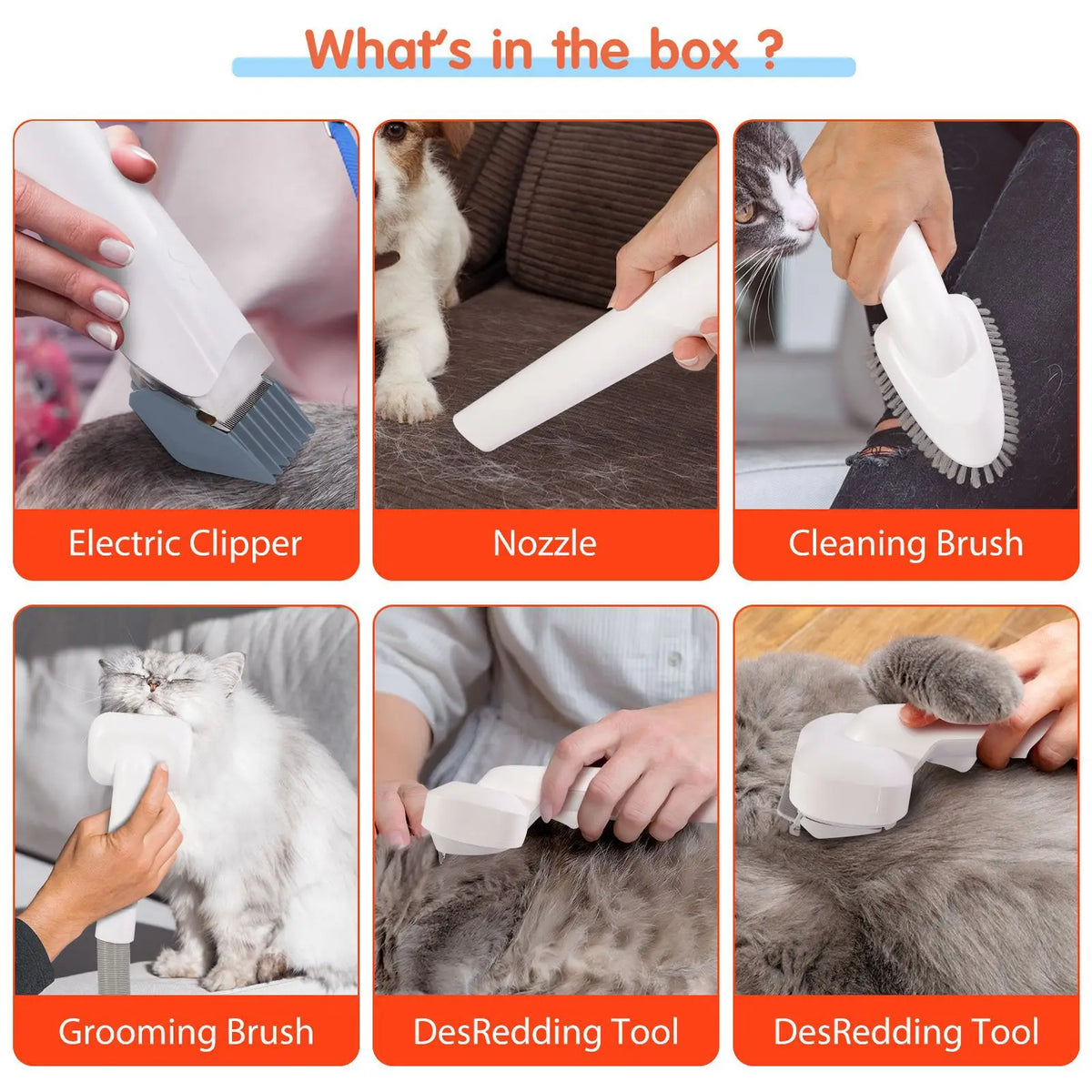 4-in-1 Pet Grooming Vacuum | 10,000Pa Suction | 2.3L | 3 Speeds | Dogs & Cats