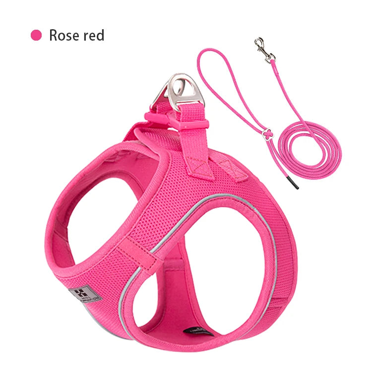 Reflective Dog & Cat Harness with Leash Set