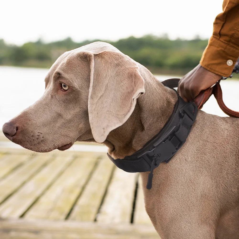 Adjustable Tactical Training Collar for Medium & Large Dogs