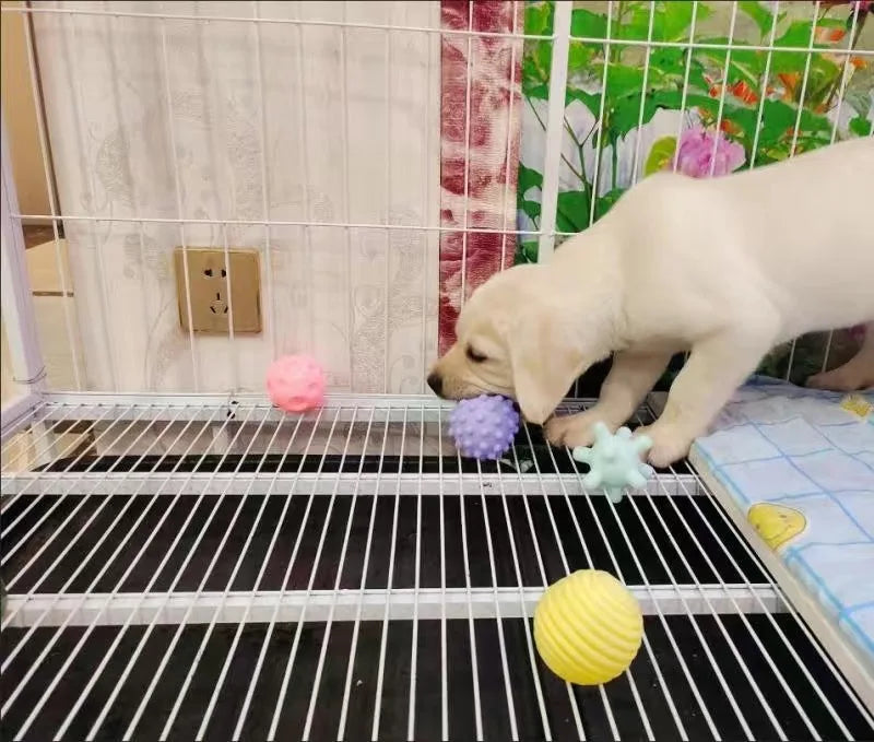 Squeaky Ball Toys for Small Dogs — 6cm