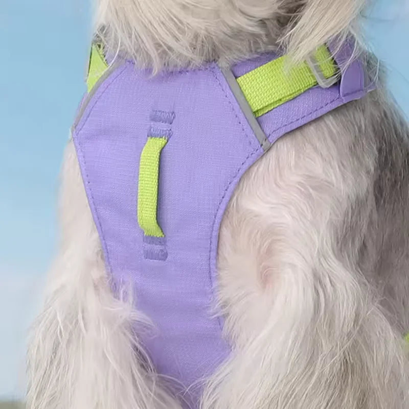 Lightweight No-Pull Reflective Dog & Cat Harness Vest