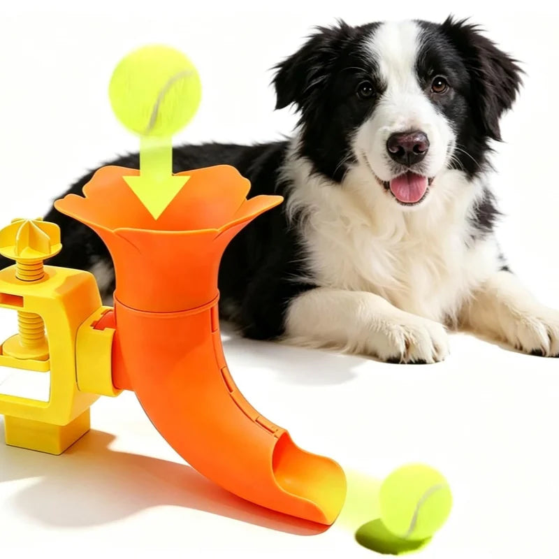 Clamp-Mounted Dog Ball Trainer