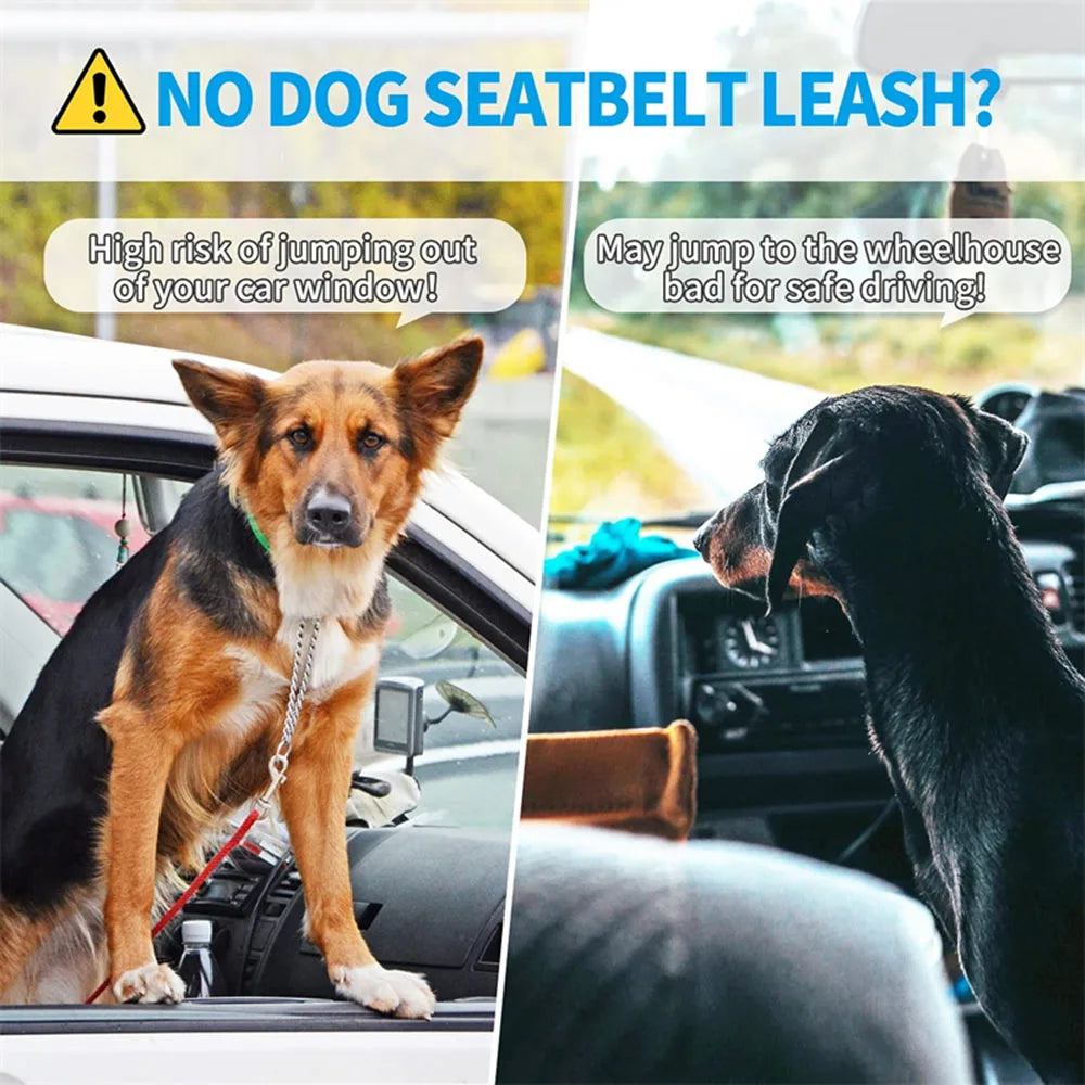 Ceinture de sécurité rétractable pour chien avec bande réfléchissante