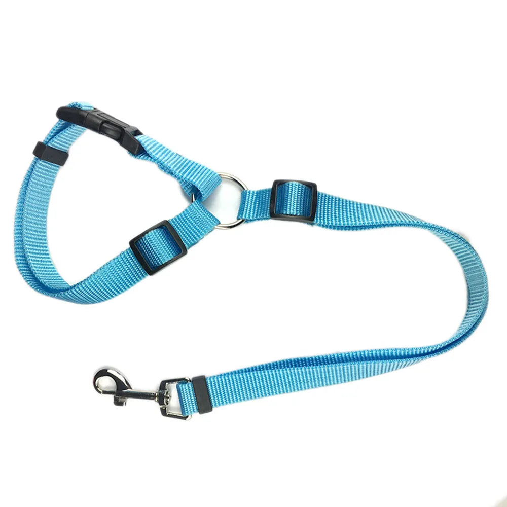 Harnais réglable et ceinture de sécurité pour chien