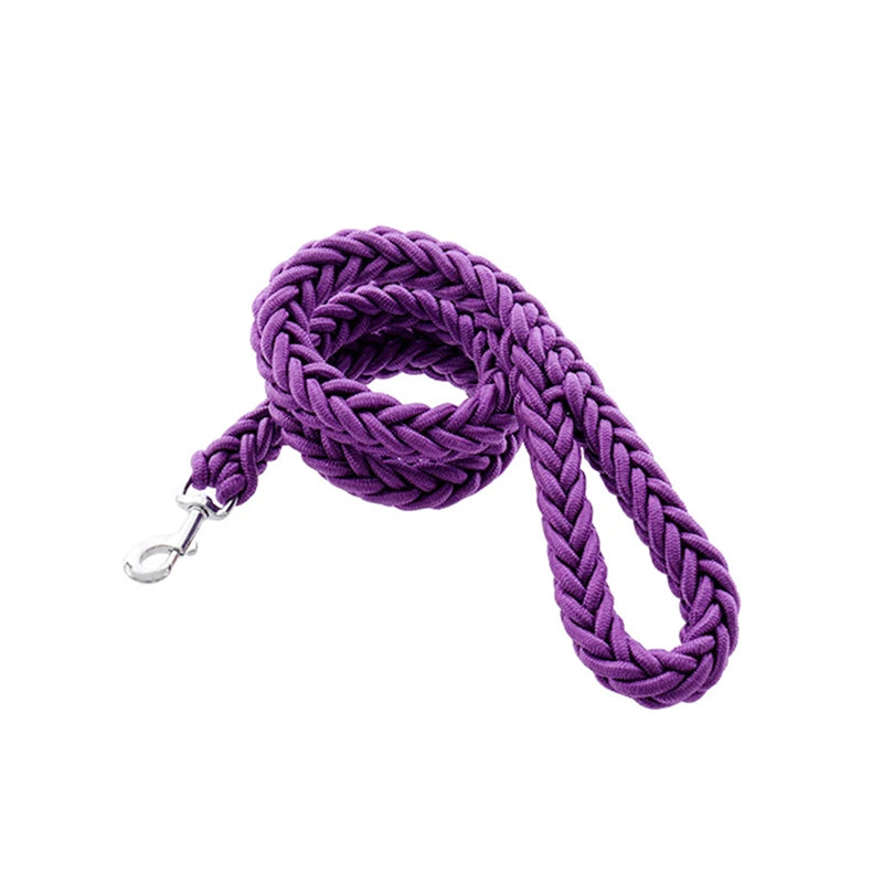 Heavy-Duty Nylon Dog Lead