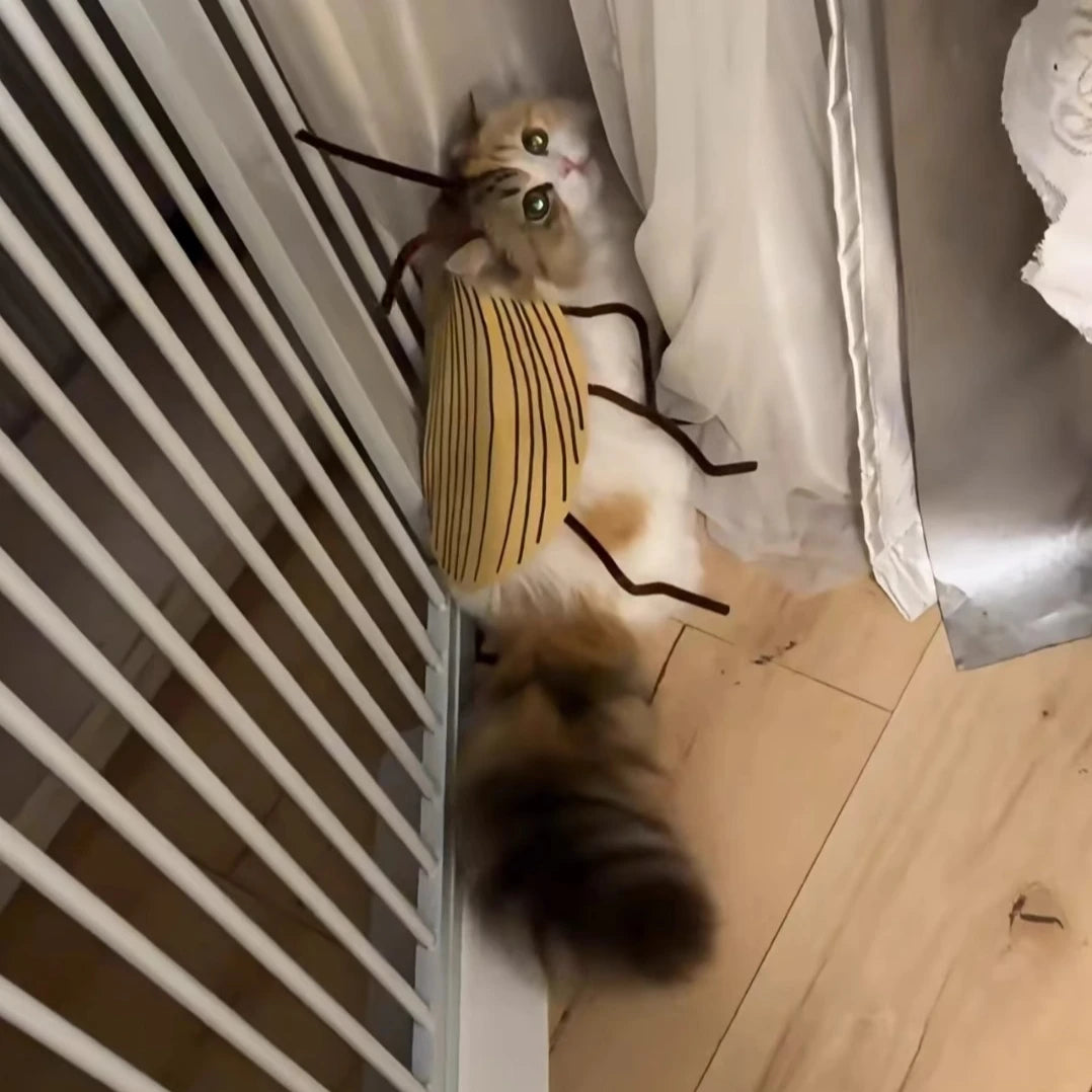 Pet Halloween Hair Accessories DIY Kit