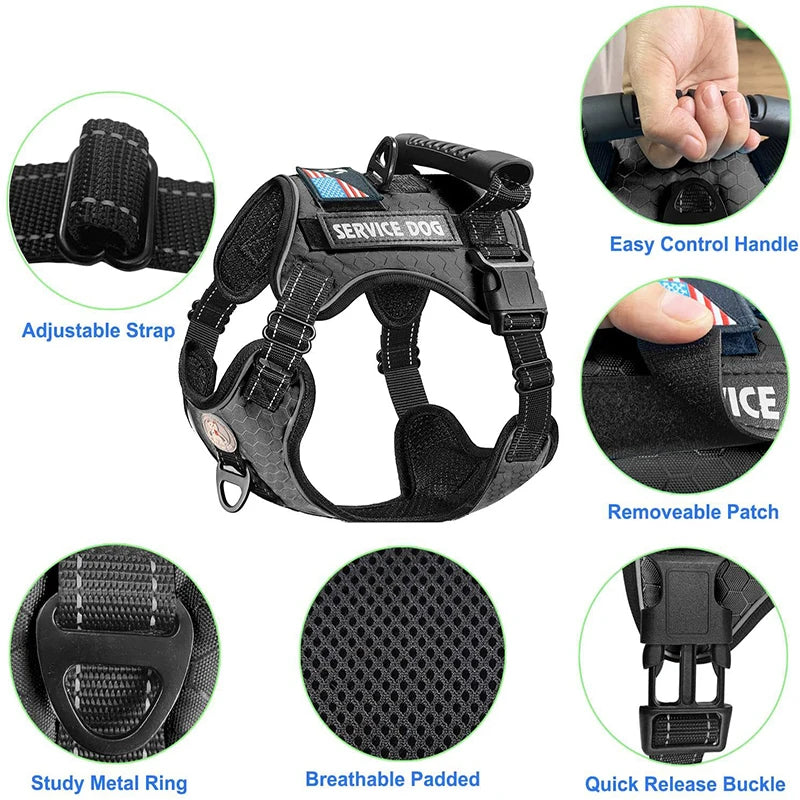 Dog Harness Set — Chest Vest, Shock-Absorbing Lead, Folding Bowl & Waste Bags