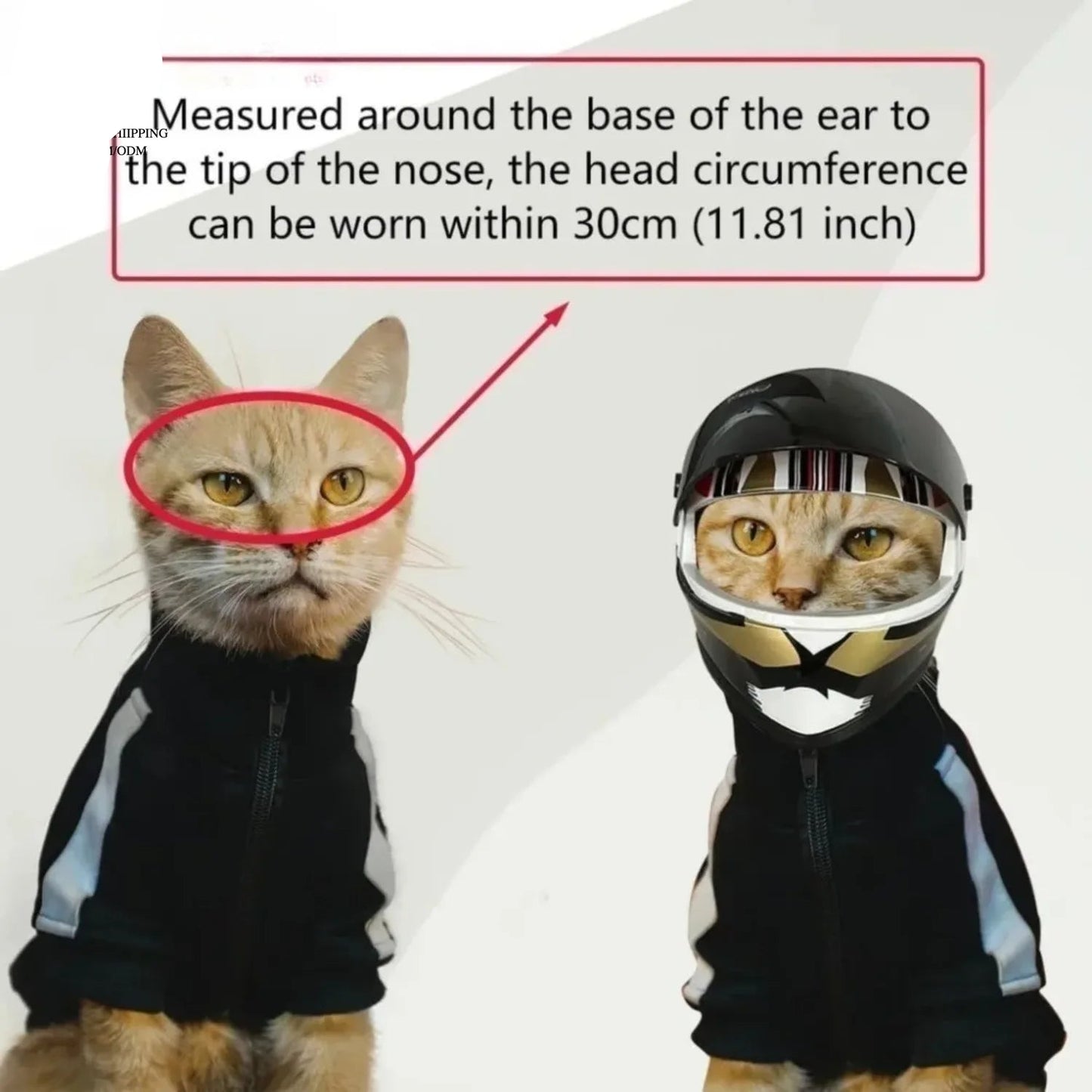 Pet Motorcycle Helmet for Cats & Small Dogs