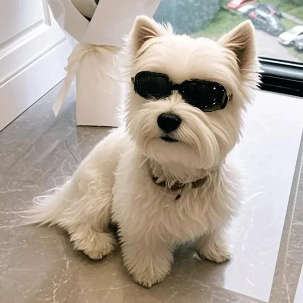 UV & Windproof Sunglasses Goggles for Small Dogs & Cats