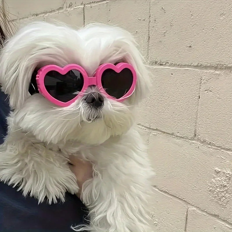 Lunettes de soleil de protection UV pour animaux de compagnie - Protection élégante des yeux pour chiens et chats