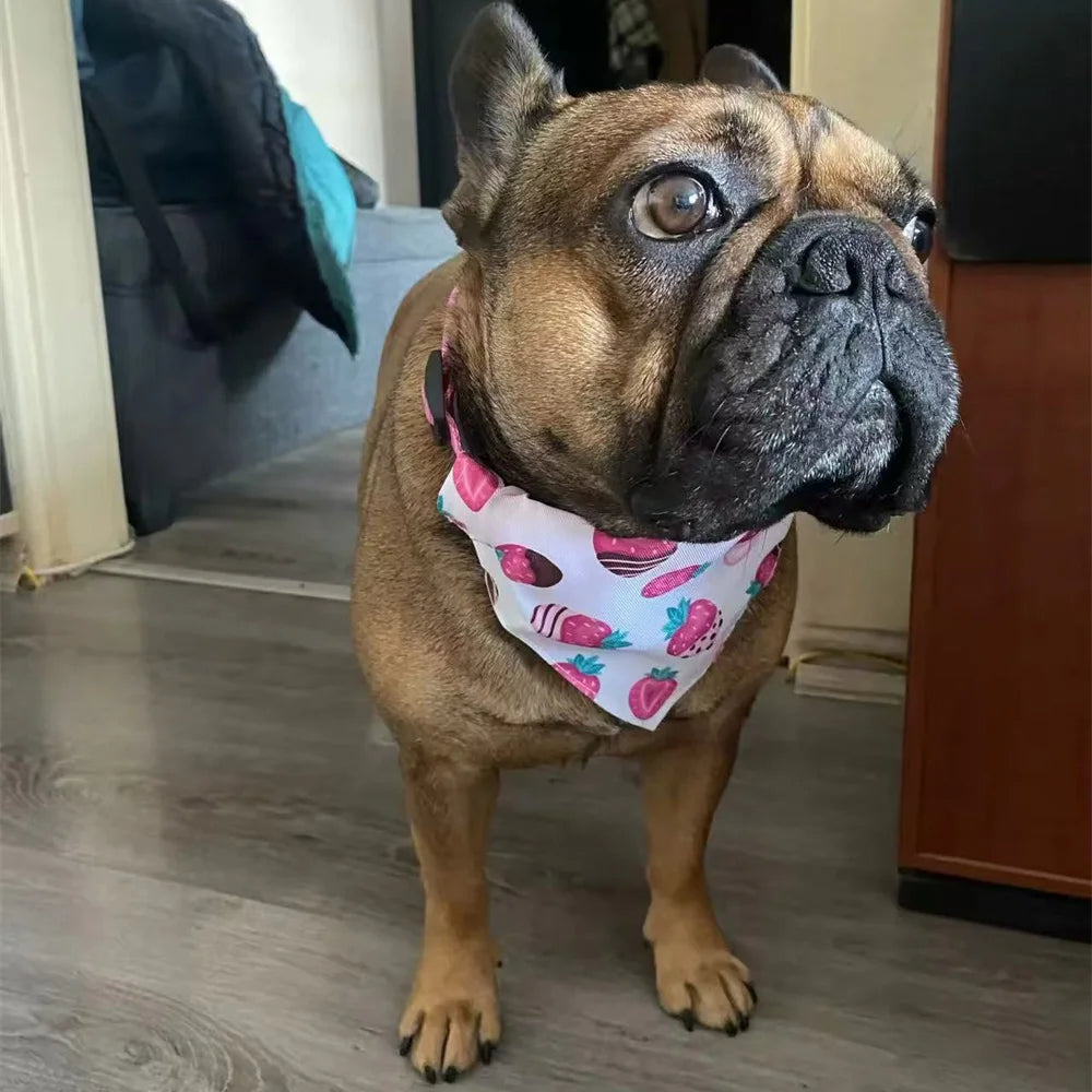Cute Print Cat Dog Collar with Bandanas for Small Dogs Yorkshire Chihuahua Puppy Triangular Bandage Pet Accessories Supplies