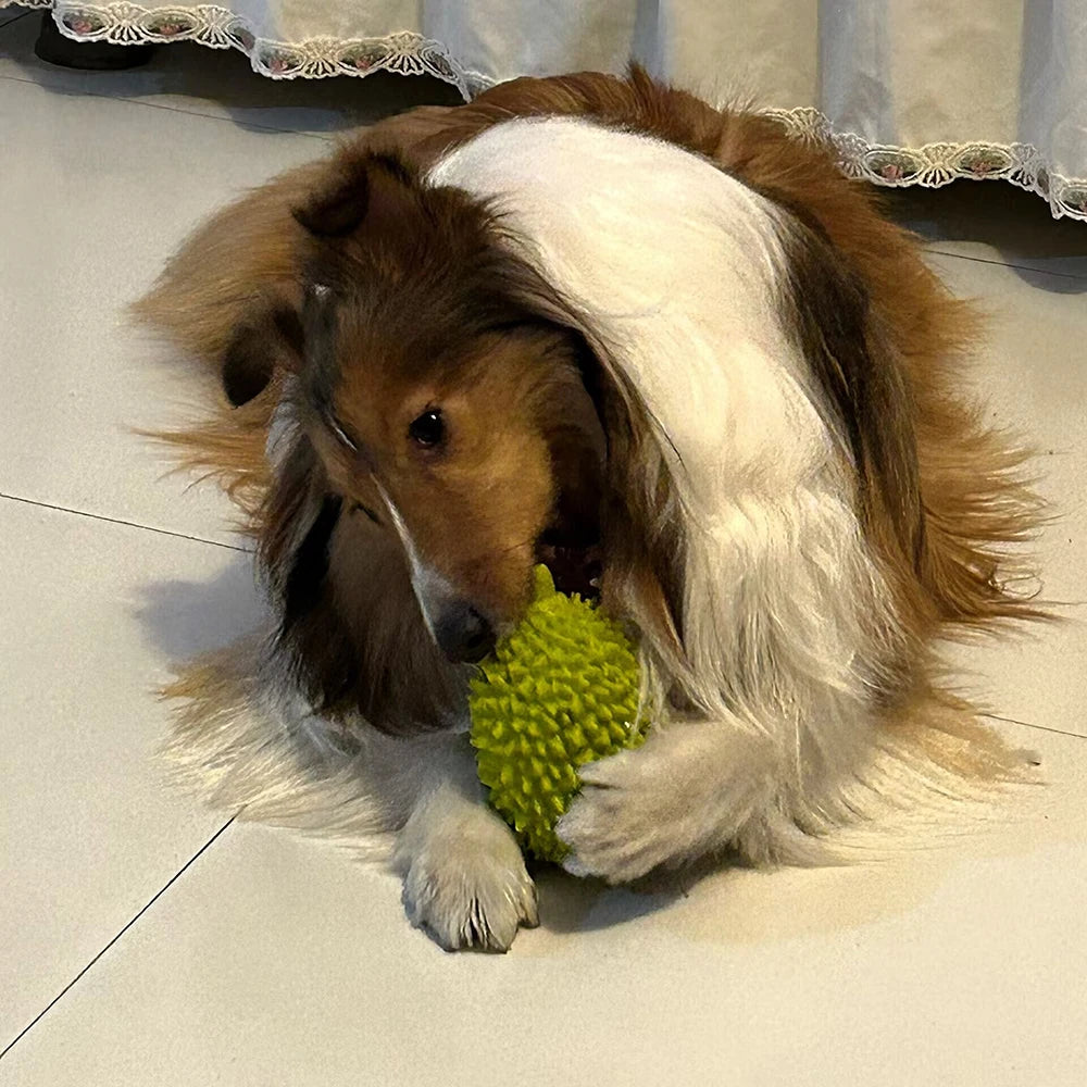 2Pcs/3Pcs Pet Chew Toys Fruit Vegetable Shapes with Squeaky for Small Medium Dogs Hot Sale Dog Accessories Juguetes Para Perros