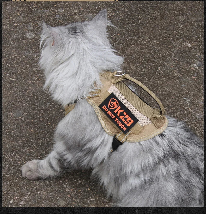Harnais tactique réfléchissant avec poignée pour chats et chatons