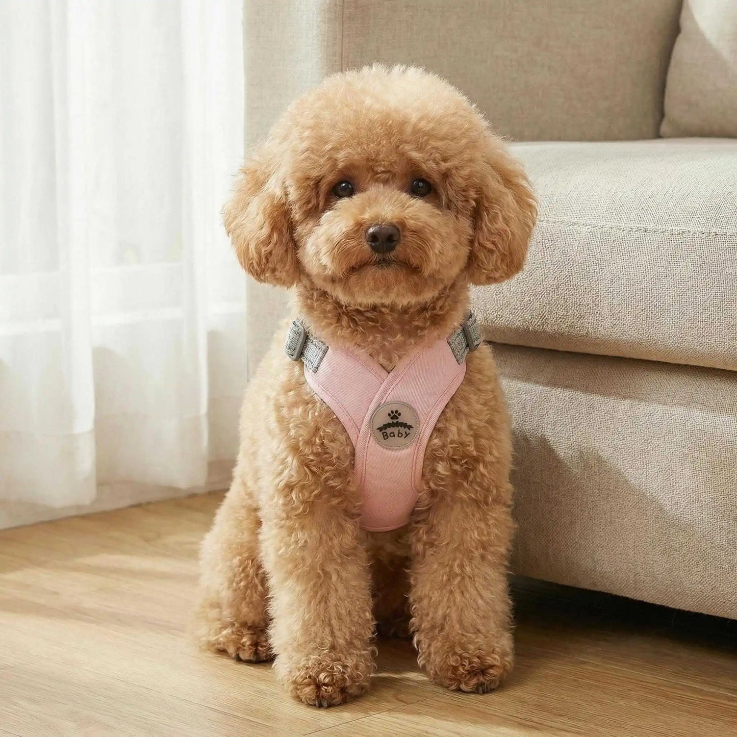 Harnais et laisse réfléchissants pour chien en forme de X | Gilet réglable à libération rapide pour petits et moyens chiens
