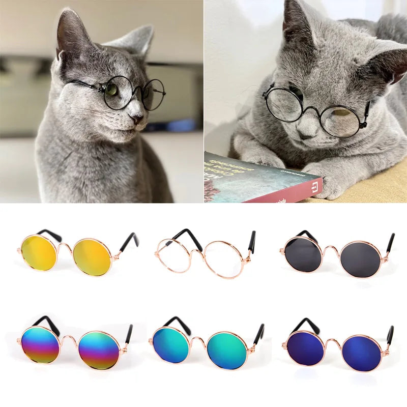 Vintage Round Pet Sunglasses for Cats and Small Dogs