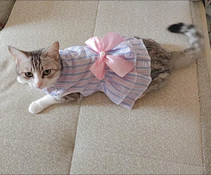 Robe de princesse pour animaux de compagnie - Robe d'été à rayures et carreaux avec nœud pour chats et petits chiens