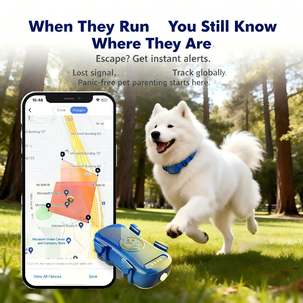 Traceur GPS pour chiens et chats