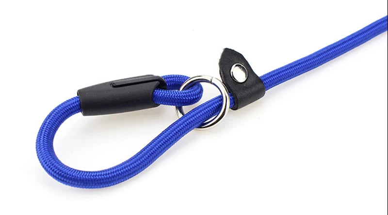 Nylon Slip Lead Training Leash for Small & Medium Dogs