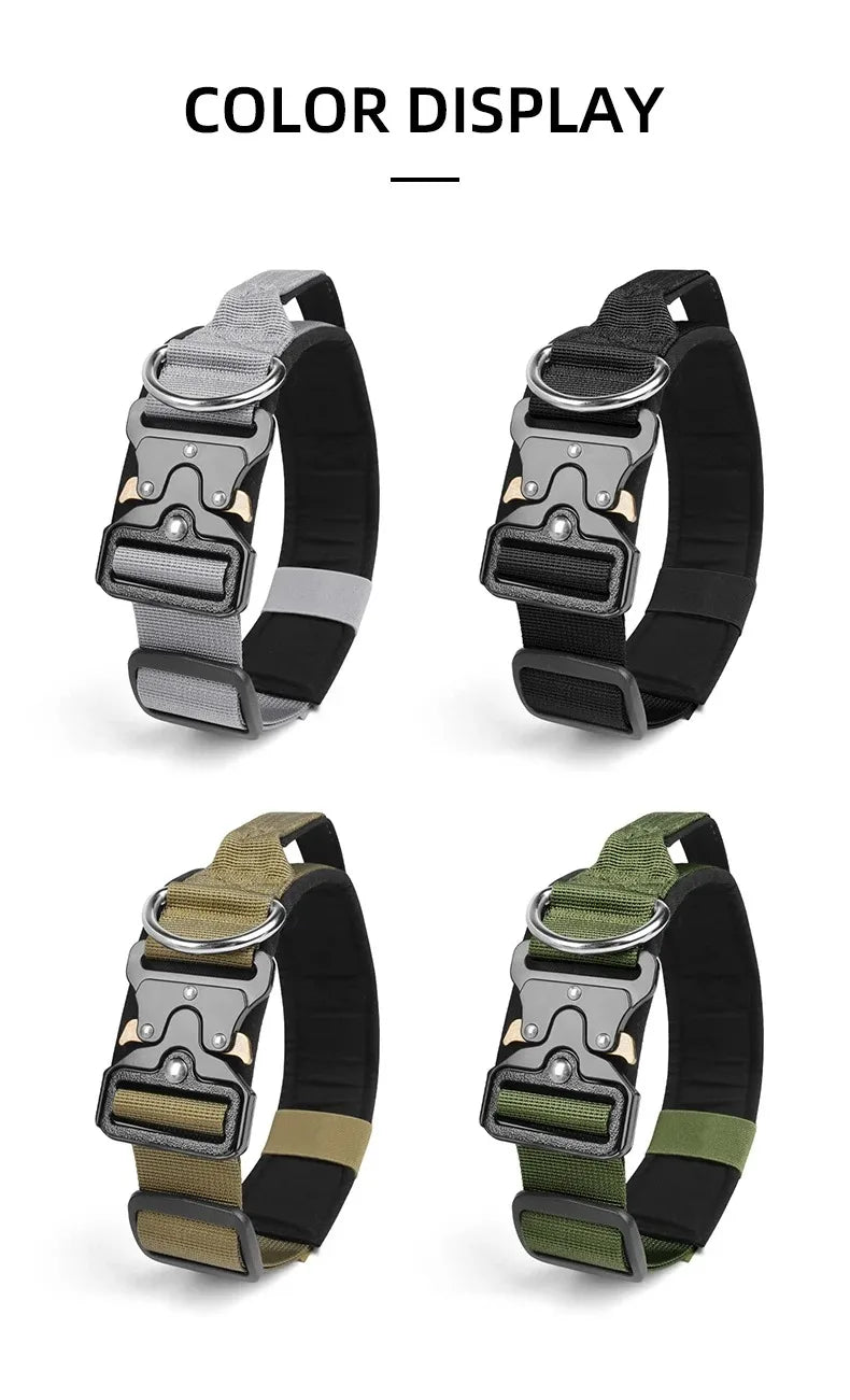 Ensemble complet collier et harnais pour chien avec laisse