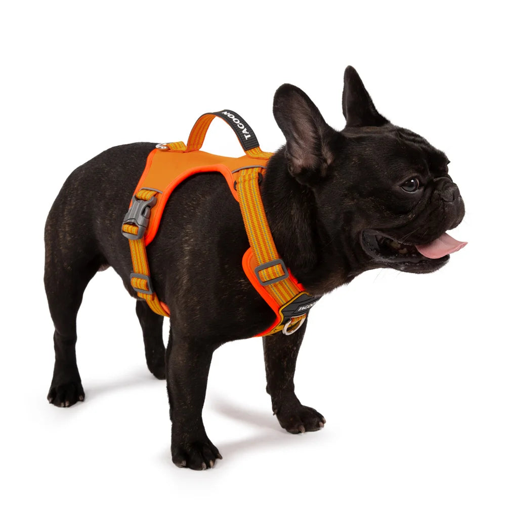 No Pull Big Dog Harness with Handle for Small Medium Large Dogs Weimaraner Doberman Pinscher Fashion Durable Pet Vest Harnesses