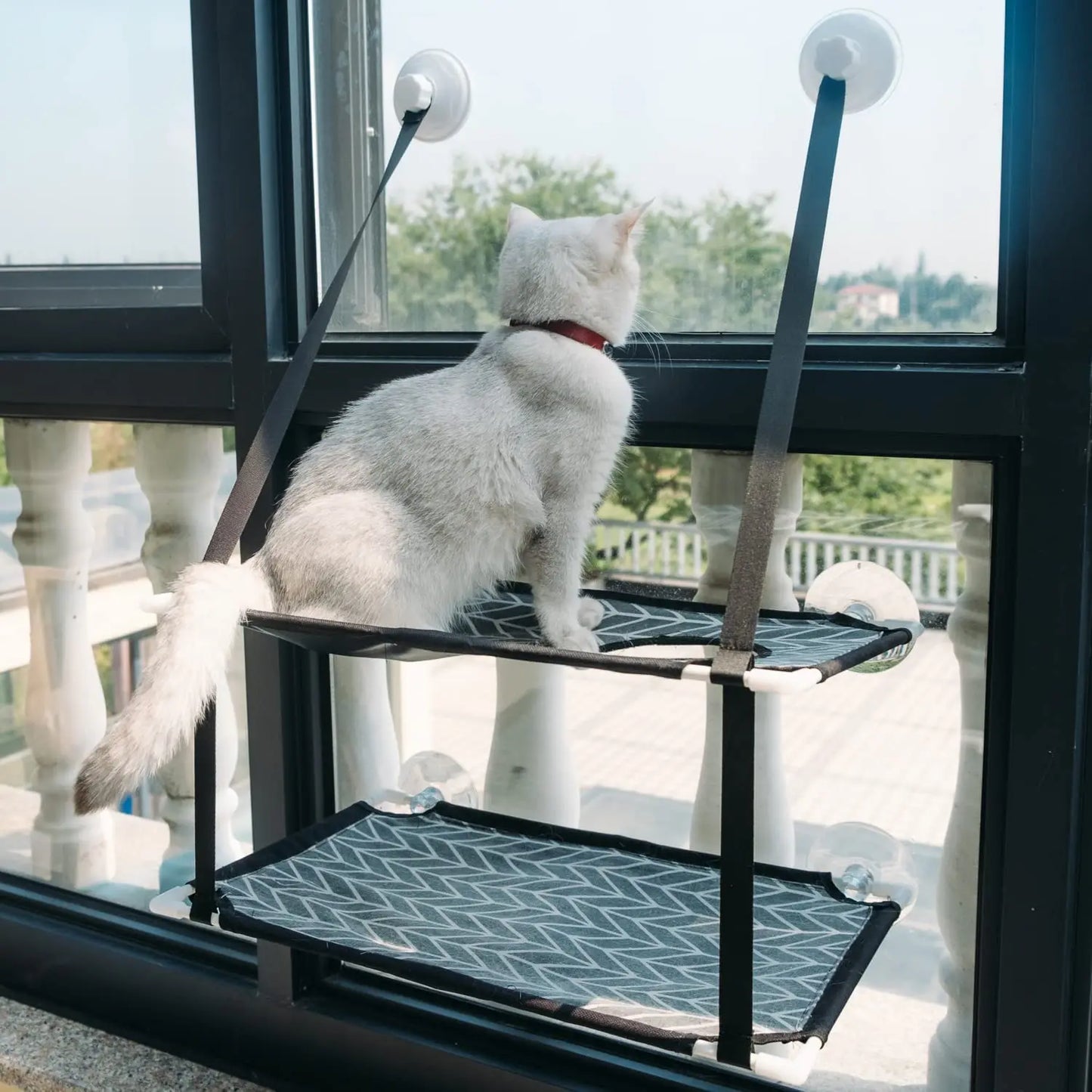 Cat Window Perch & Hammock with Strong Suction Cups