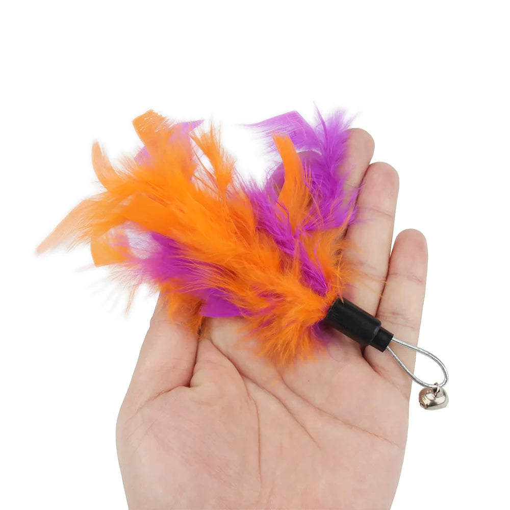 Bright Colour Feather Cat Teaser Replacement Pack (5 Pcs Random Mix)
