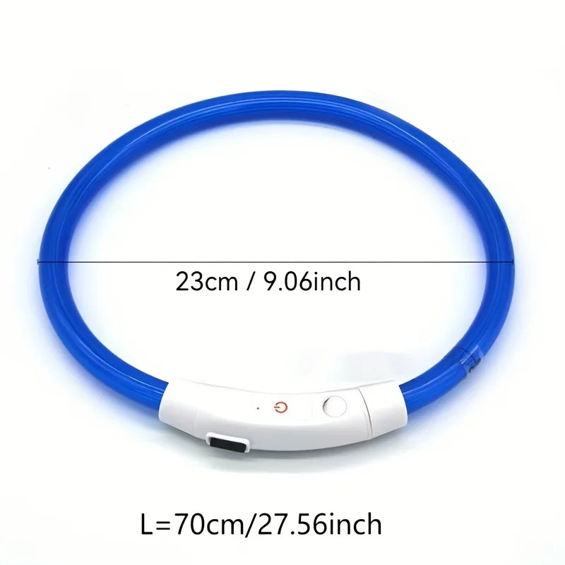 Collier lumineux LED pour chien - Collier de sécurité rechargeable par USB pour une visibilité nocturne