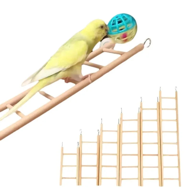 Perchoir suspendu en bois de pin naturel pour oiseaux, perroquets et hamsters