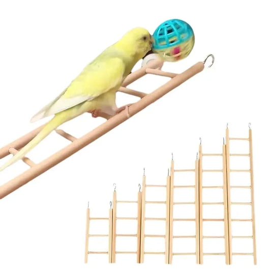 Perchoir suspendu en bois de pin naturel pour oiseaux, perroquets et hamsters